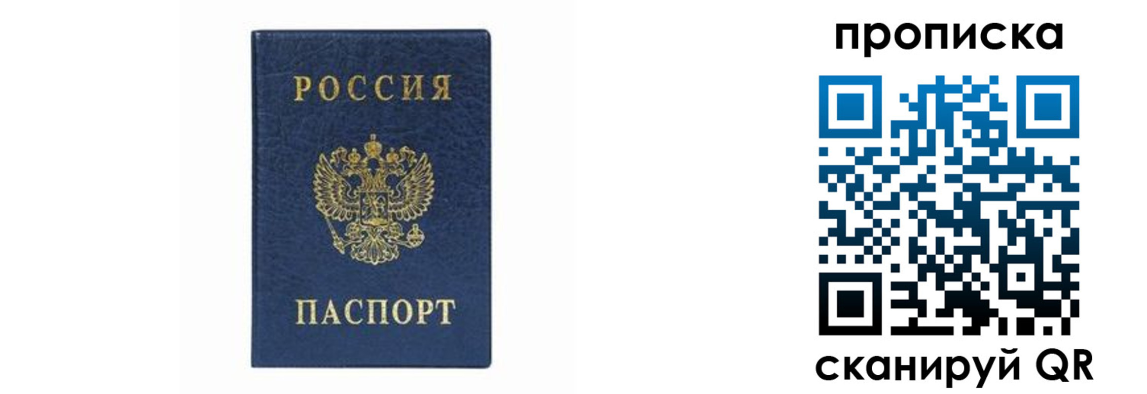 временная регистрация поиск в Московской области